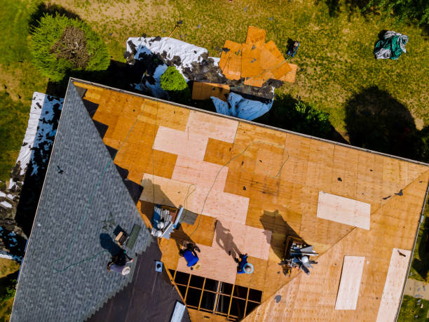 Best Roof Gutter Cleaning  in West Union, IA