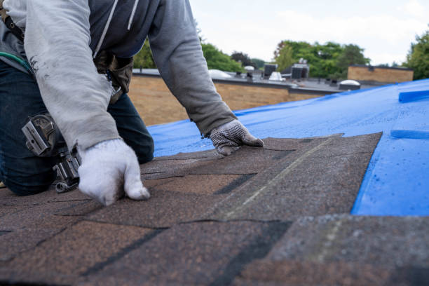 Best Emergency Roof Repair  in West Union, IA