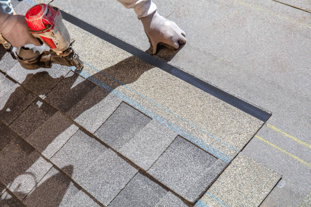 Best Flat Roof Repair Services  in West Union, IA