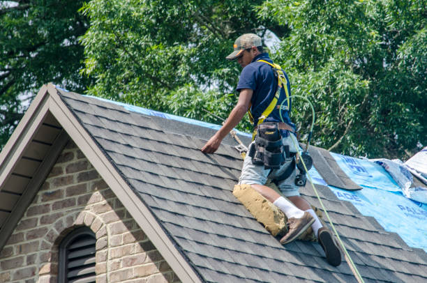 Best Roof Maintenance Services  in West Union, IA